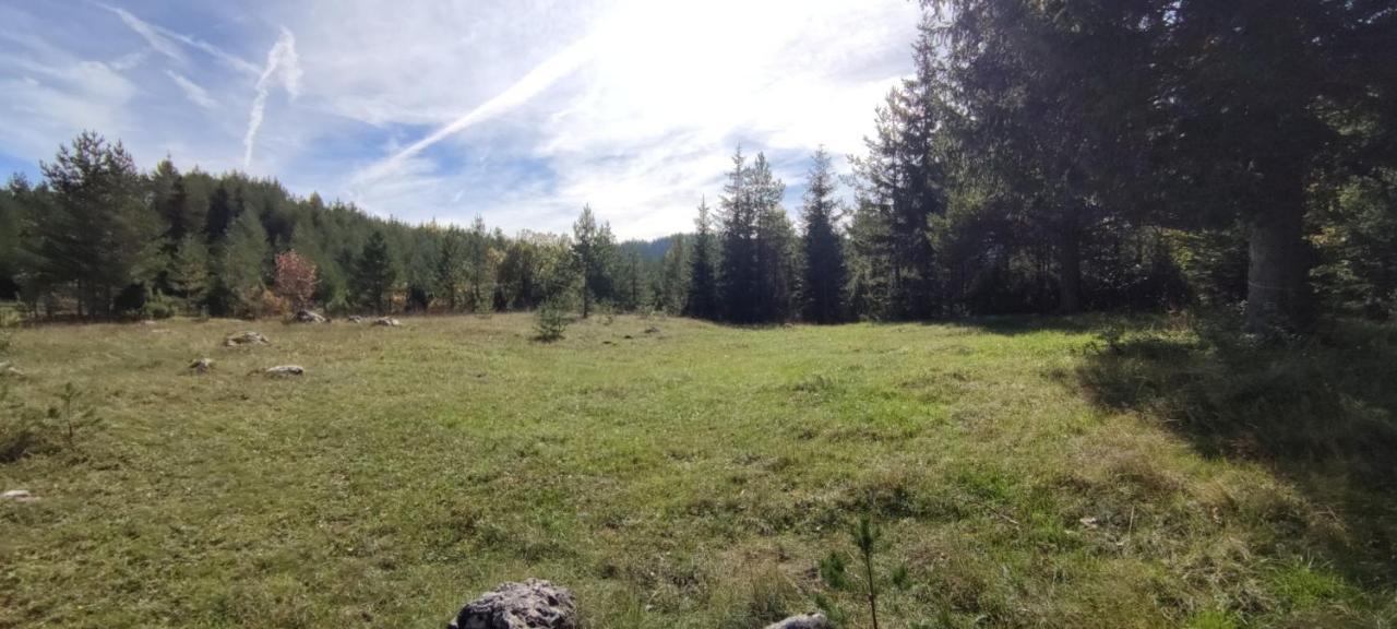 Vukov Konak - Wolf'S Lodge Žabljak Dış mekan fotoğraf