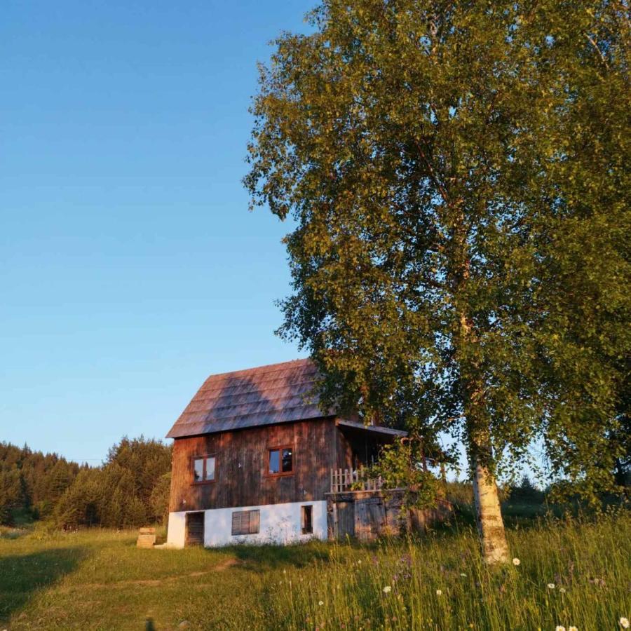 Vukov Konak - Wolf'S Lodge Žabljak Dış mekan fotoğraf