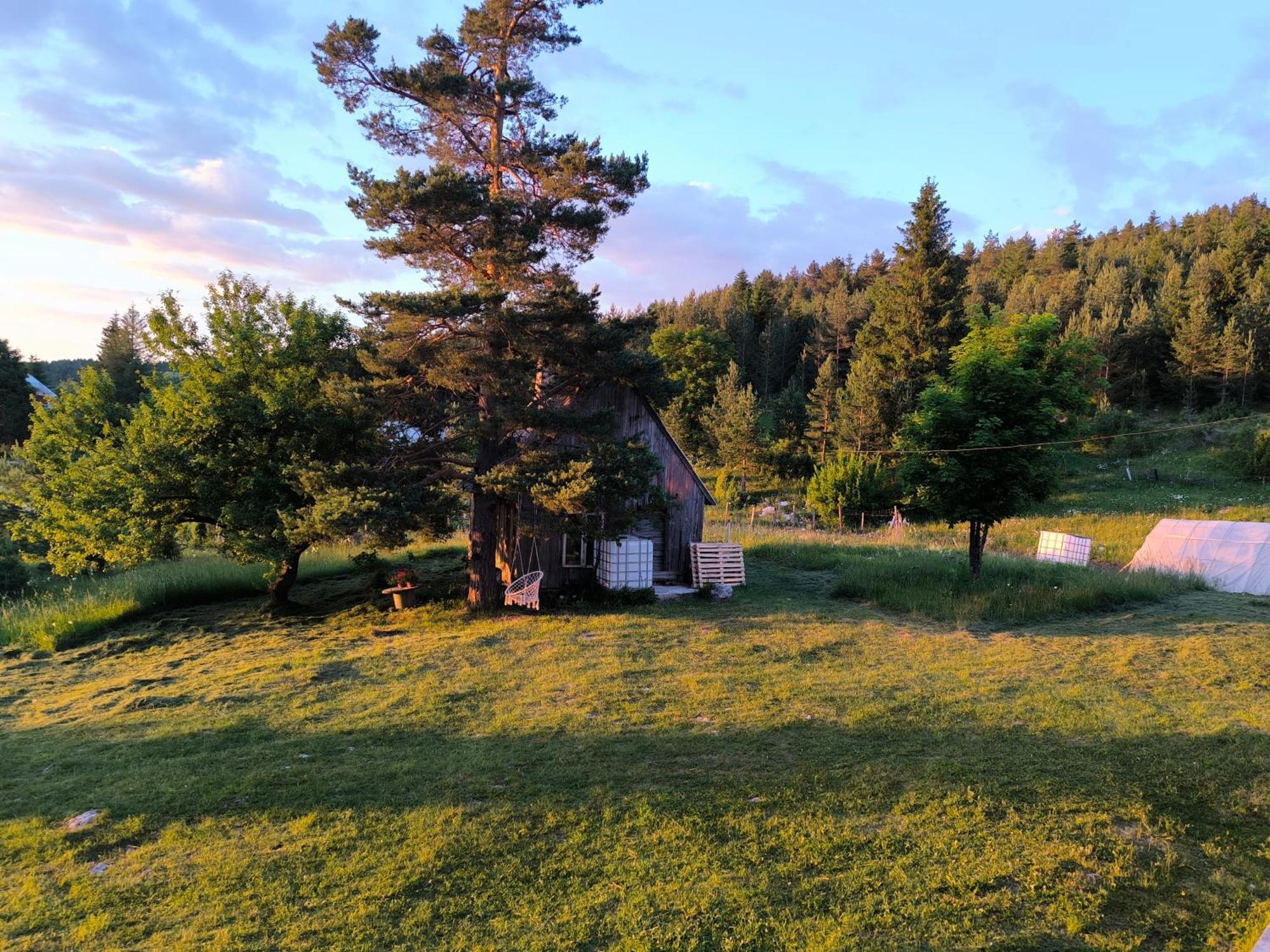 Vukov Konak - Wolf'S Lodge Žabljak Dış mekan fotoğraf
