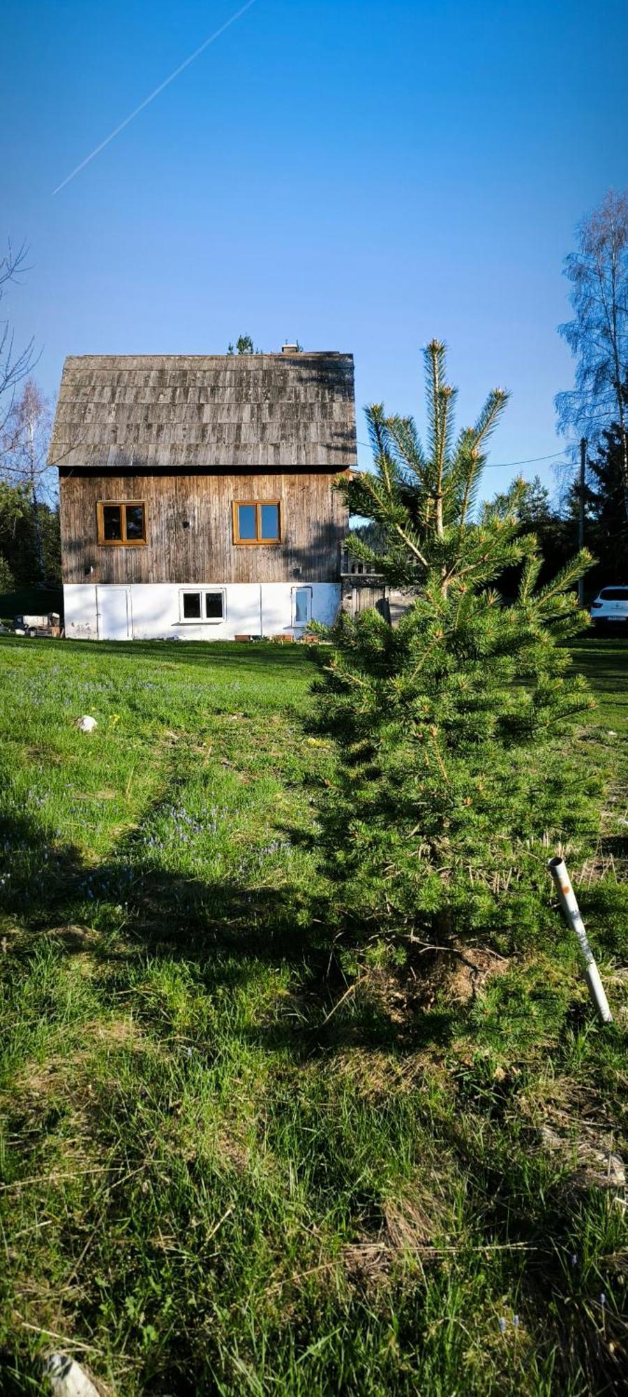 Vukov Konak - Wolf'S Lodge Žabljak Dış mekan fotoğraf