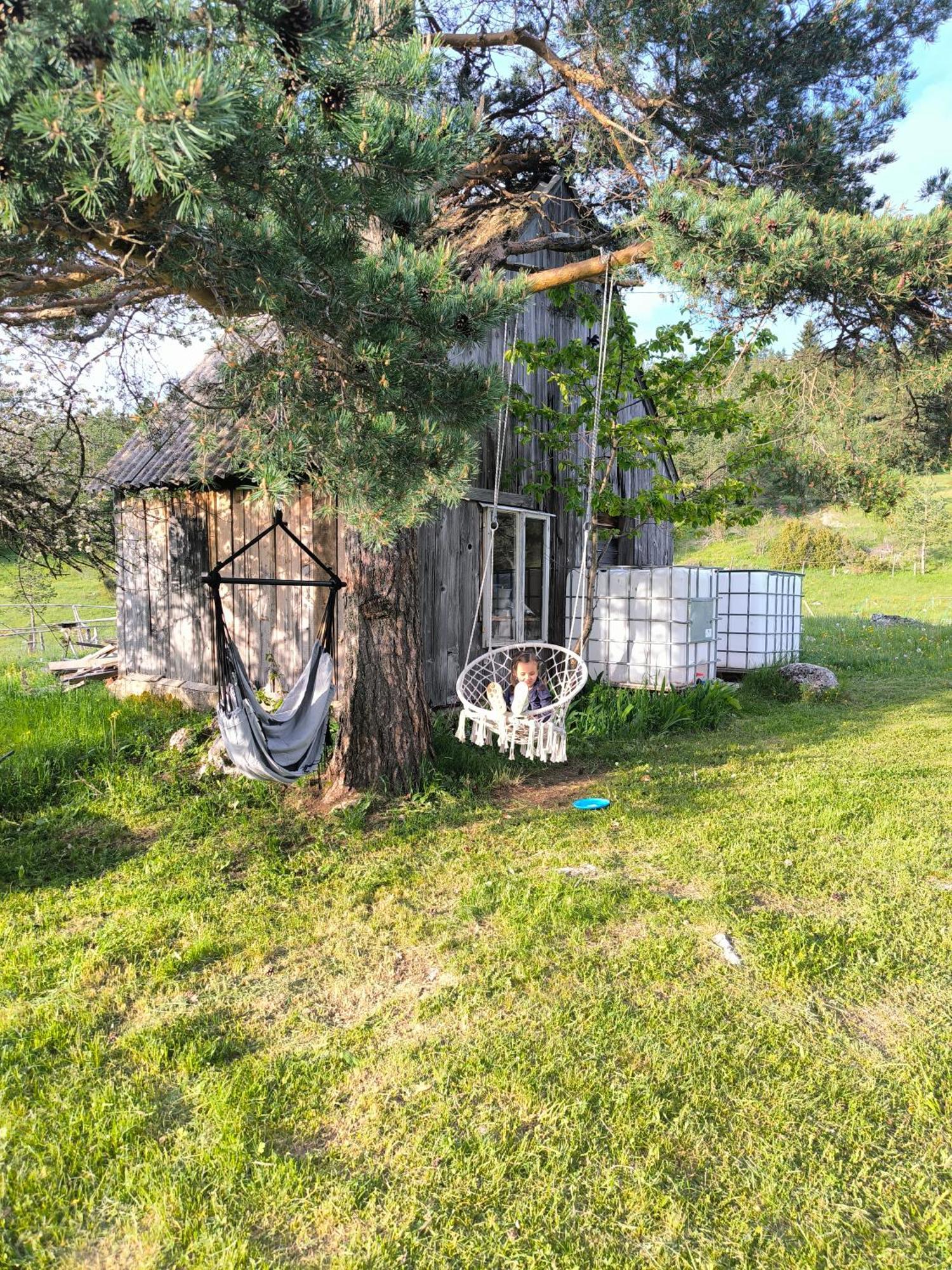 Vukov Konak - Wolf'S Lodge Žabljak Dış mekan fotoğraf