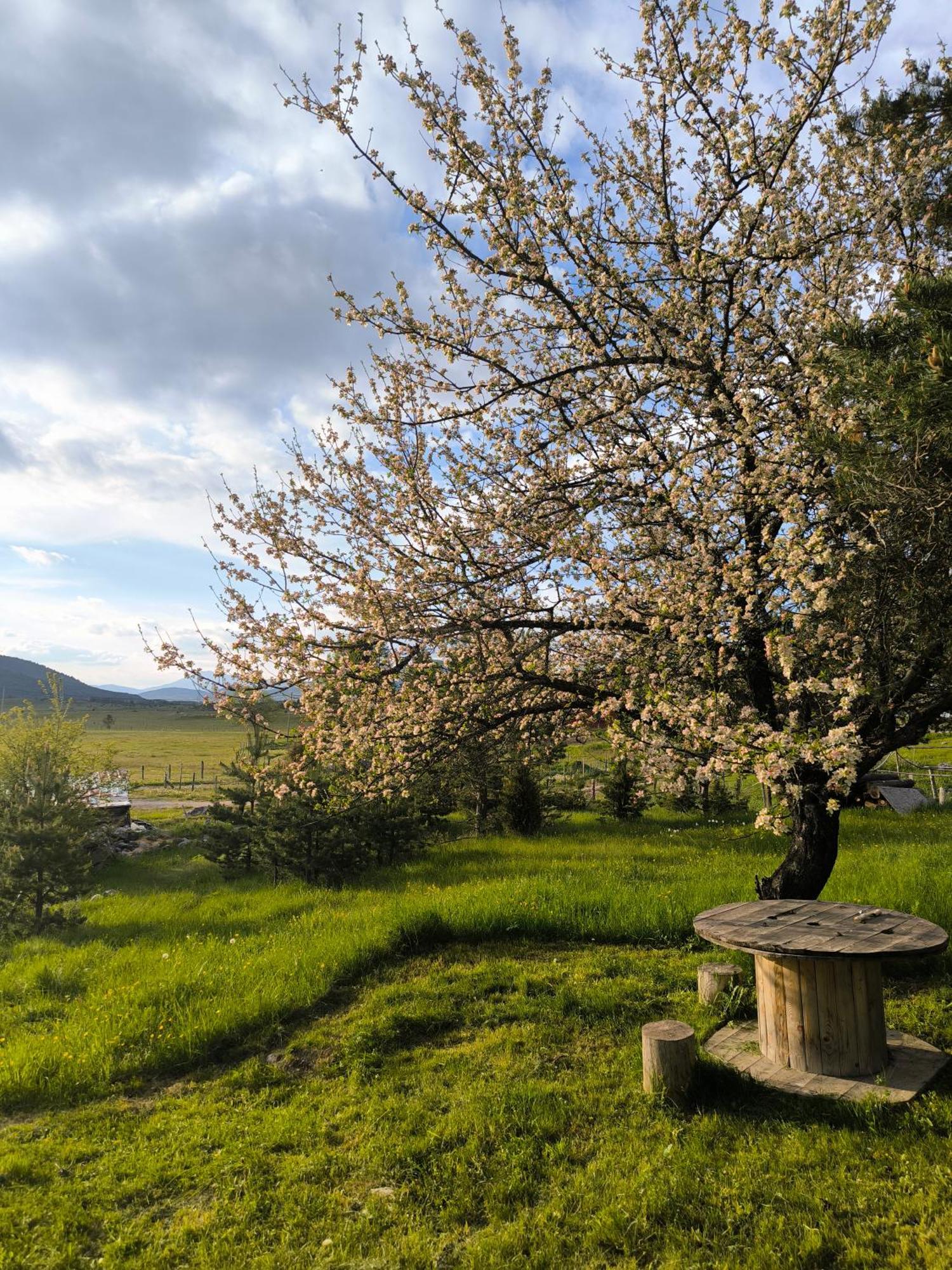 Vukov Konak - Wolf'S Lodge Žabljak Dış mekan fotoğraf